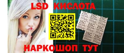 индика Гатчина
