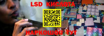 индика Гатчина