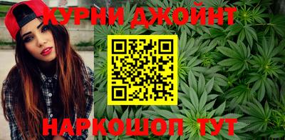 индика Гатчина
