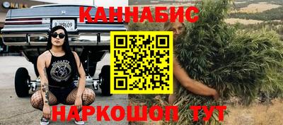 индика Гатчина