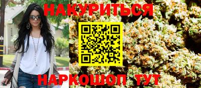 индика Гатчина