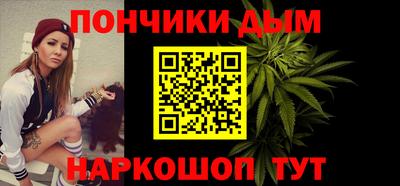 индика Гатчина