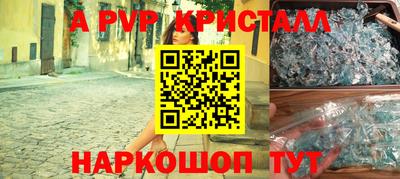 индика Гатчина